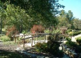 Beaver Creek Nursery