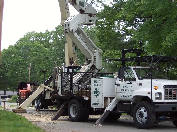 Hunter Tree Service Image