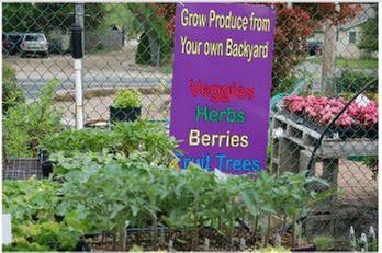 Hammett's Landscaping & Garden Center Inc. Image