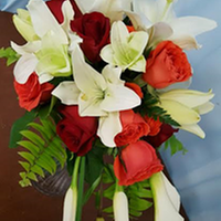 Seminole Garden Florist & Party Store