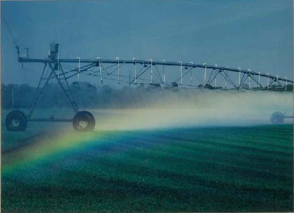 Novasack Turf Farms