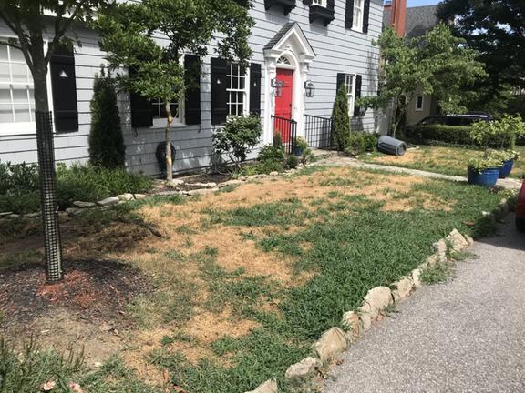 Diego's Landscaping & Tree Removal LLC Image