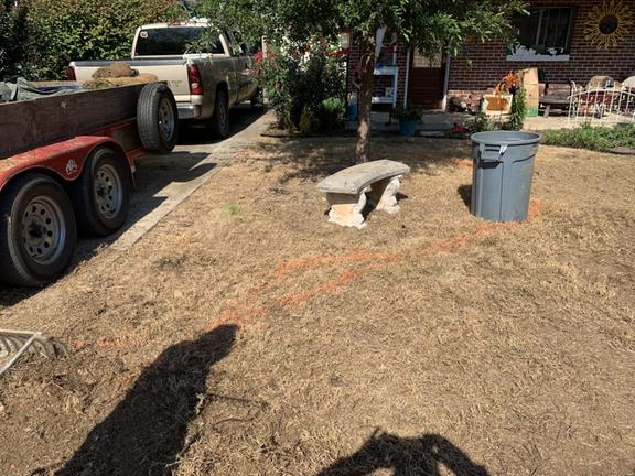 Diego's Landscaping & Tree Removal LLC Image