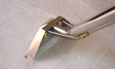 Proforce Carpet Cleaning Image