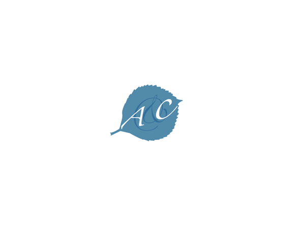 Albino & Clark, Llc