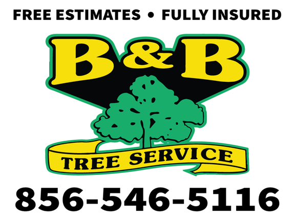 B &amp; B Tree Service Logo