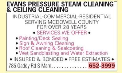 Evans Pressure Steam Cleaning & Ceiling Cleaning Logo