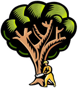Pamlico Tree Care Llc