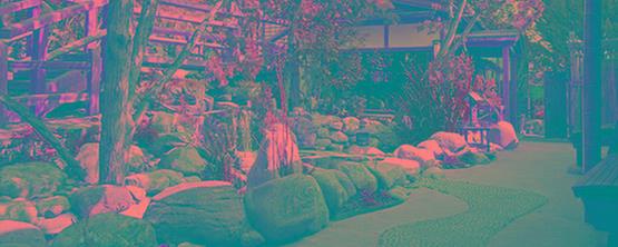 Ten Thousand Waves Image