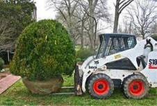 A Cut Above Tree Service Image