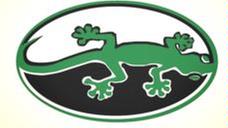 Green Lizard