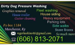 Dirty Dog Pressure Washing Logo