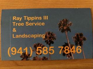 Ray Tippins III Tree Service &amp; Landscaping Logo