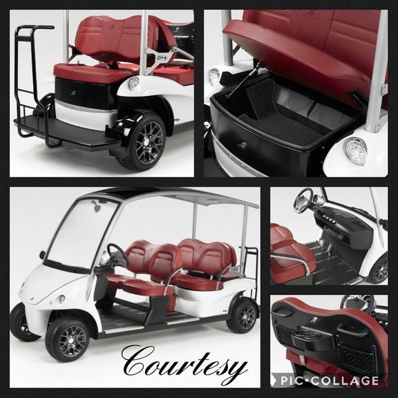 Apache Main Golf Cars - Premium 30 point inspection for $79.95 Image
