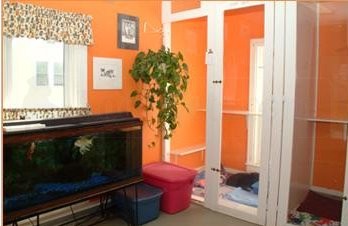 Weymouth Landing Cat Clinic Hotel 127 Washington St Weymouth Ma