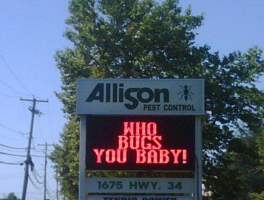 Allison Pest Control P O Box 243 Farmingdale Nj Allison Pest Control
