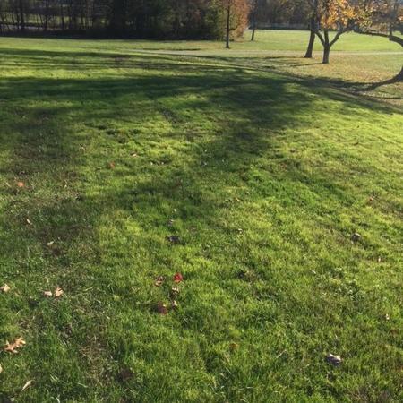 Lawn Doctor Of Annapolis 192 Mayo Rd Edgewater Md Lawn Doctor Of Annapolis