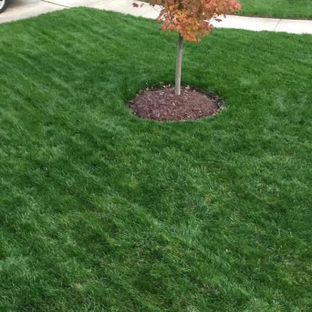 Lawn Doctor Of Annapolis 192 Mayo Rd Edgewater Md Lawn Doctor Of Annapolis