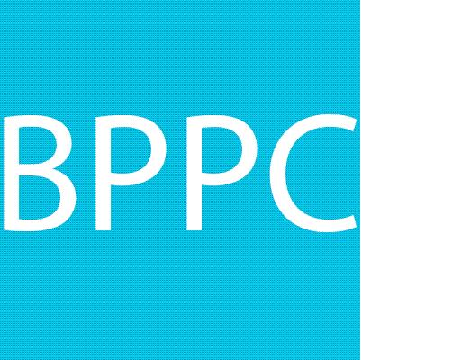 Bert S Painting Pressure Cleaning Inc 4003 Waring Rd