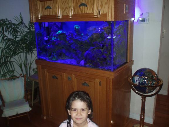 Amazing Aquariums Inc In Daytona Beach Fl 2330 S Nova Rd Ste B Amazing Aquariums Inc