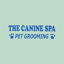 the canine spa