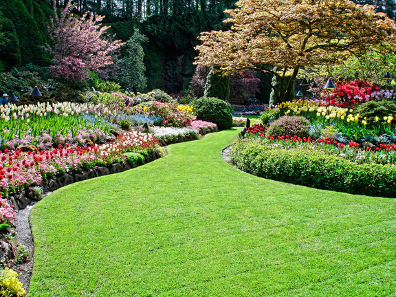 Advanced Landscaping Svc Inc 6254 118th Ave Largo Fl Advanced Landscaping Svc Inc