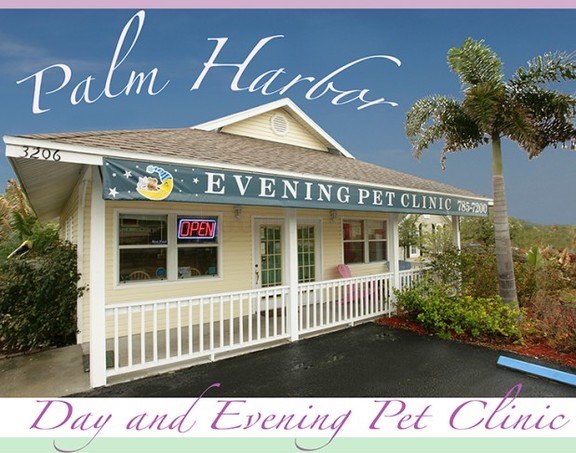 day and evening pet clinic