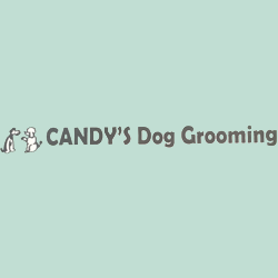 Candy S Dog Grooming 3100 W Arkansas Ln Ste N Arlington Tx