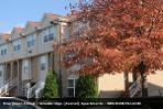 5. Evergreen Forest Apartments