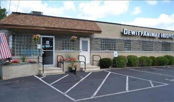 Dewitt Animal Hospital 5620 Thompson Rd Syracuse Ny