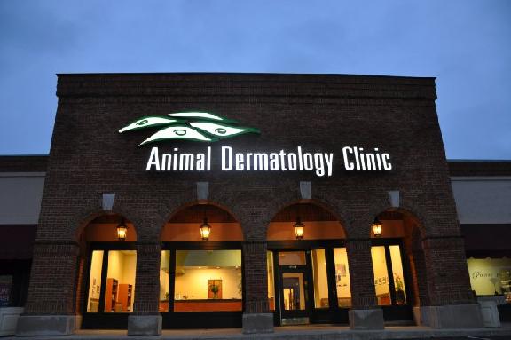 animal dermatology clinic near me