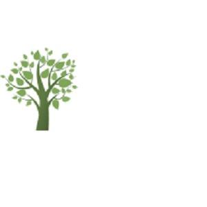 Branch Managers Tree Service Llc Dittmer Mo Branch Managers Tree Service Llc