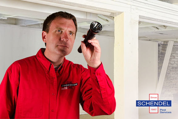 Schendel Pest Services In Topeka Ks 1035 Se Quincy St Schendel Pest Services