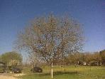 Best 20 Tree Removal In Loxahatchee Fl By Superpages Tree Service Experts