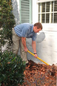 A 1 Termite Pest Control Inc 2686 Morganton Blvd Sw Lenoir Nc Inc 2686 Morganton Blvd Sw Lenoir Nc