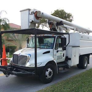 Affordable Tree Service Inc Miami Dade Broward Affordable Tree Service Inc Miami Dade Broward