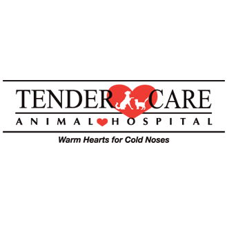 tender care animal hospital hours