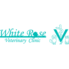 york veterinary clinic