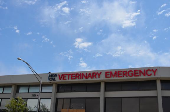 nor cal veterinary emergency and specialty hospital