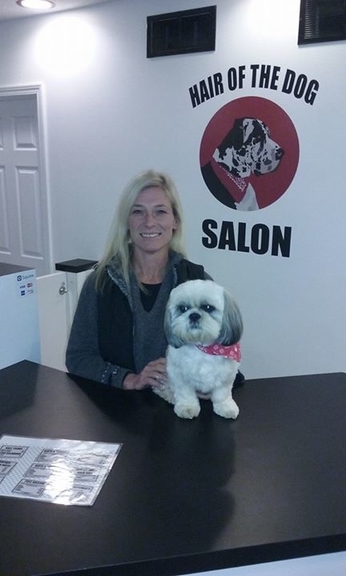 hair of the dog salon hair of the dog salon