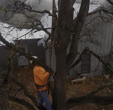 All Around Tree Care Temple Tx All Around Tree Care Temple Tx