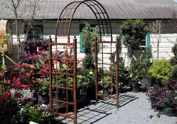 King S Greenhouse Garden Center 524 Stallings Rd Matthews Nc King S Greenhouse Garden Center 524