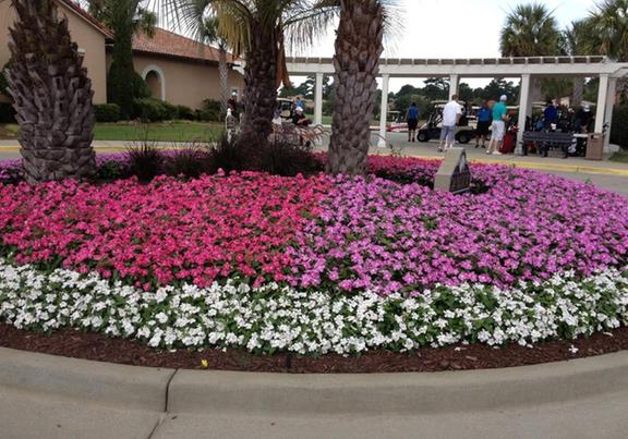 King S Greenhouse Garden Center 524 Stallings Rd Matthews Nc King S Greenhouse Garden Center 524