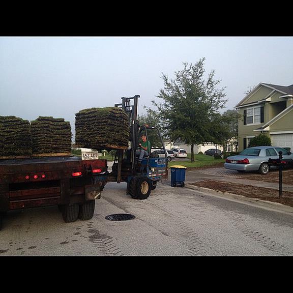 Winter Garden Grassing Inc 532 N Bluford Ave Ocoee Fl Winter Garden Grassing Inc