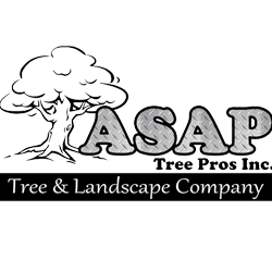 Asap Tree Pros Inc Landscape Company 2301 N Central Ave Asap Tree Pros Inc Landscape Company