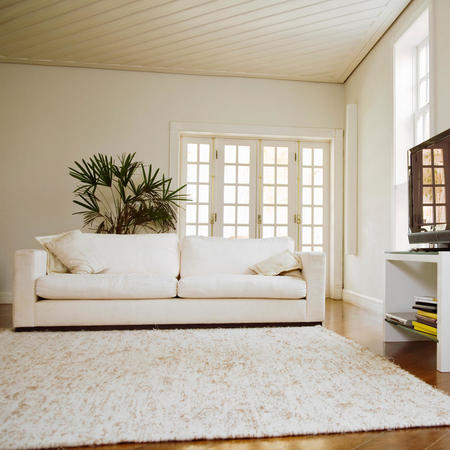 Bravo Carpet And Upholstery Cleaning Maple Grove Mn Bravo Carpet And Upholstery Cleaning