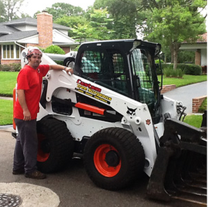 Tree Surgeons Colchester